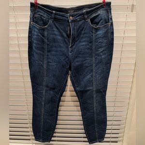 Judy Blue Plus Size Skinny Jeans GUC! 20W